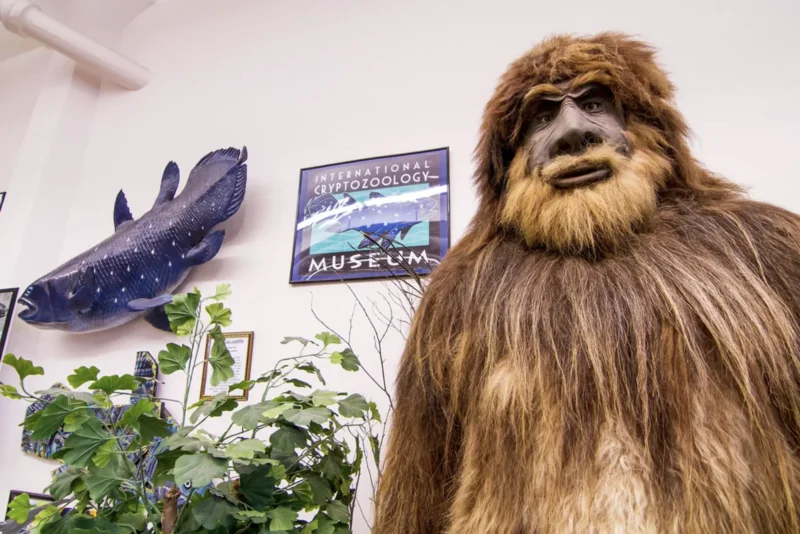 Exploring the Fascination of Cryptids: A Guide to Mythical Creature Tourism