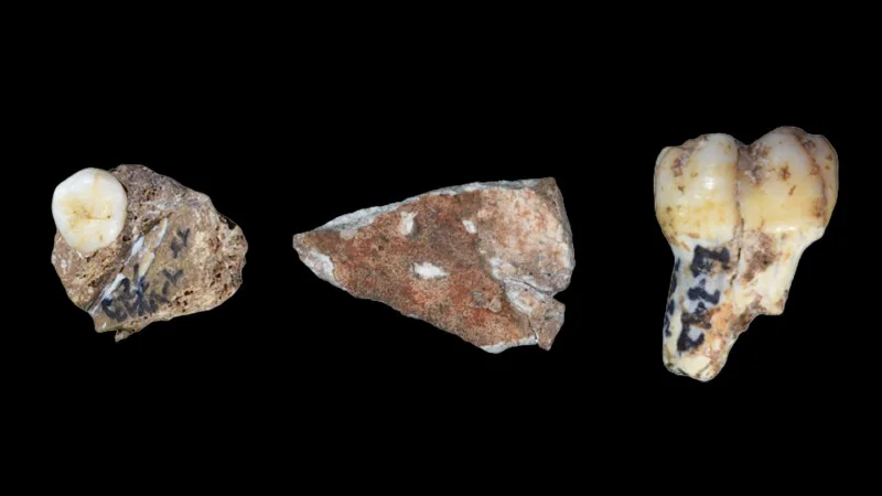 New Discoveries in China Illuminate Denisovan Existence